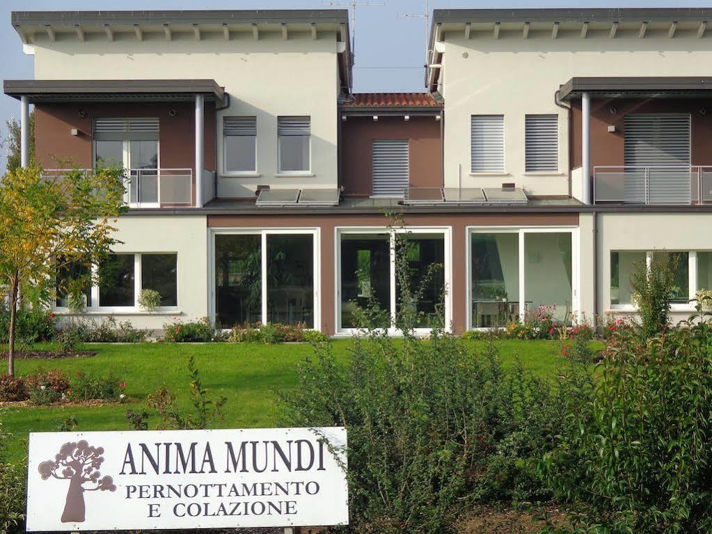Anima Mundi Bed and Breakfast Curtatone Eksteriør billede